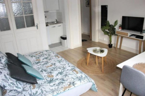 Charmant studio en centre-ville / proche gare